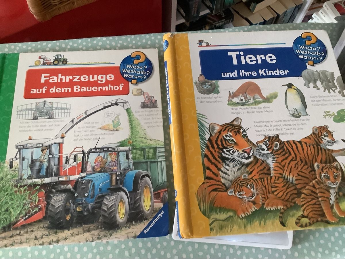 Libri: WISO weshalb warum Kinderbuch  – Usato da Veltheim AG venduto da mollilove