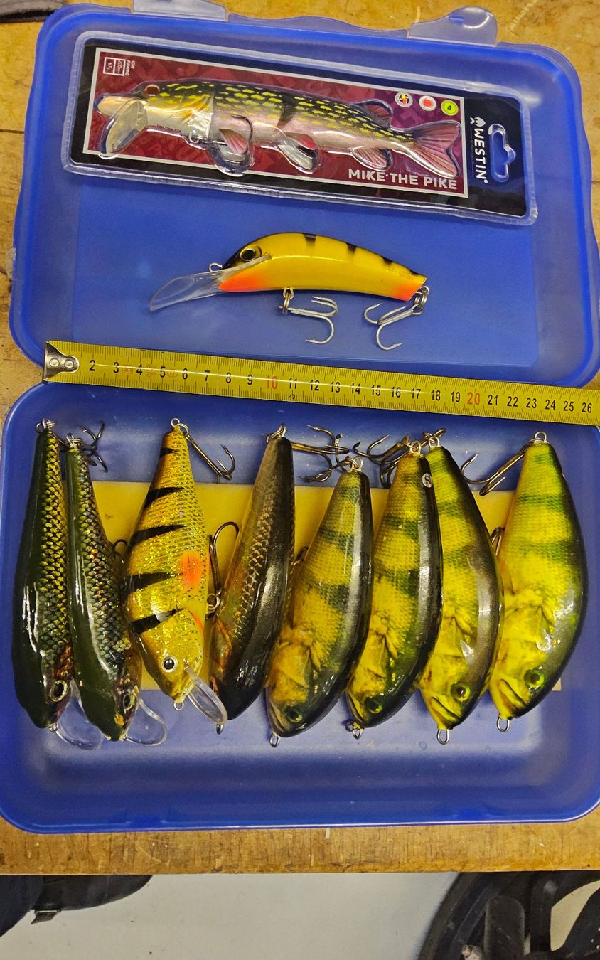 Esche: 10 Wobbler im Set 3 – Usato da Stein am Rhein venduto da JoXone
