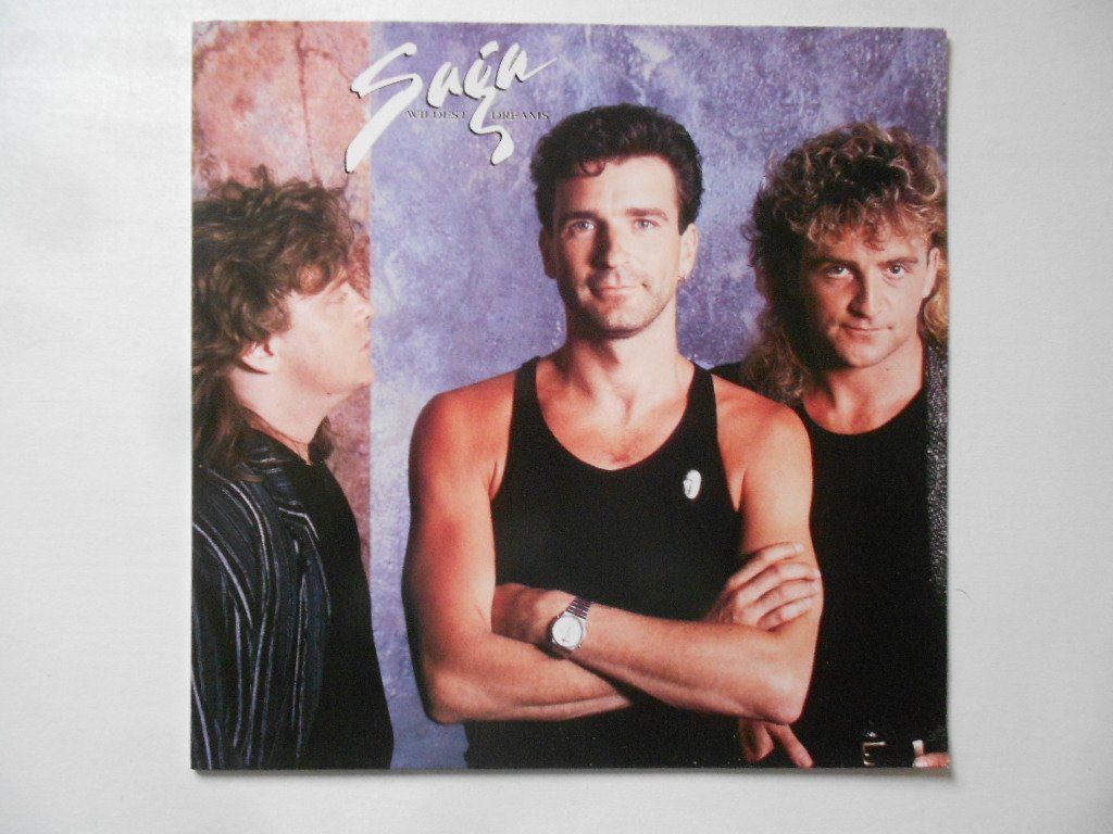 Dischi in vinile: SAGA  -  WILDEST DREAMS – Usato da Bex venduto da Giorgiob