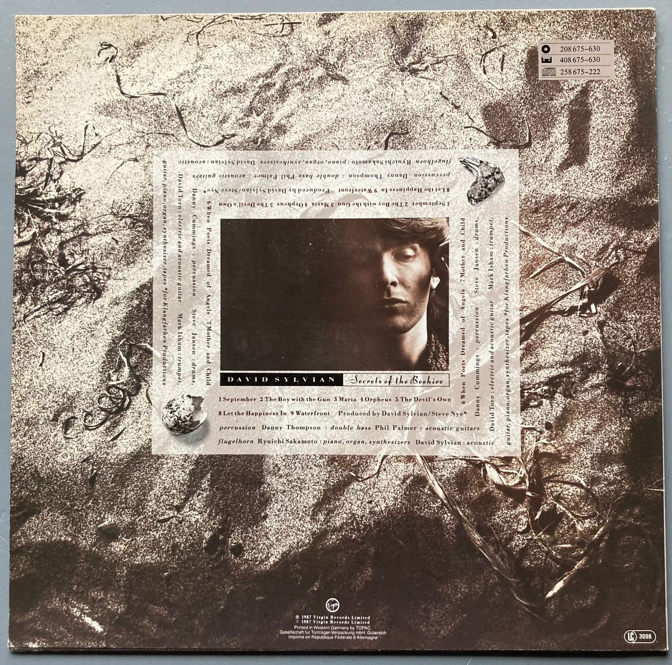 Dischi in vinile: DAVID SYLVIAN - SECRETS OF THE BEEHIVE – Usato da Poliez-Pittet venduto da Newtown-Records 1