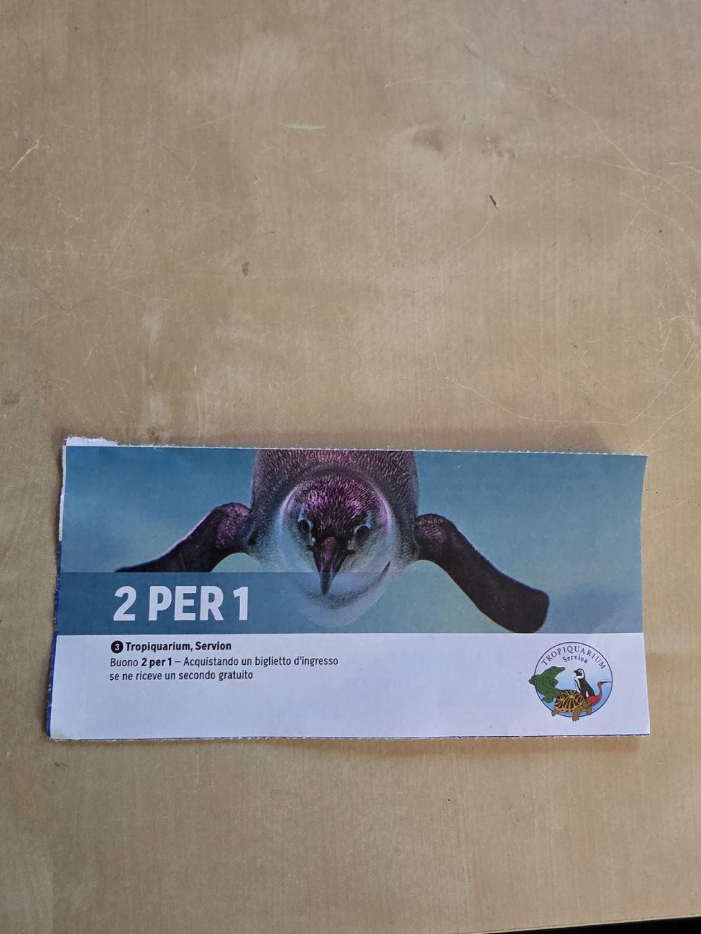 Buoni: Gutschein tropiquarium – Usato da BELLINZONA venduto da Dolcerelax