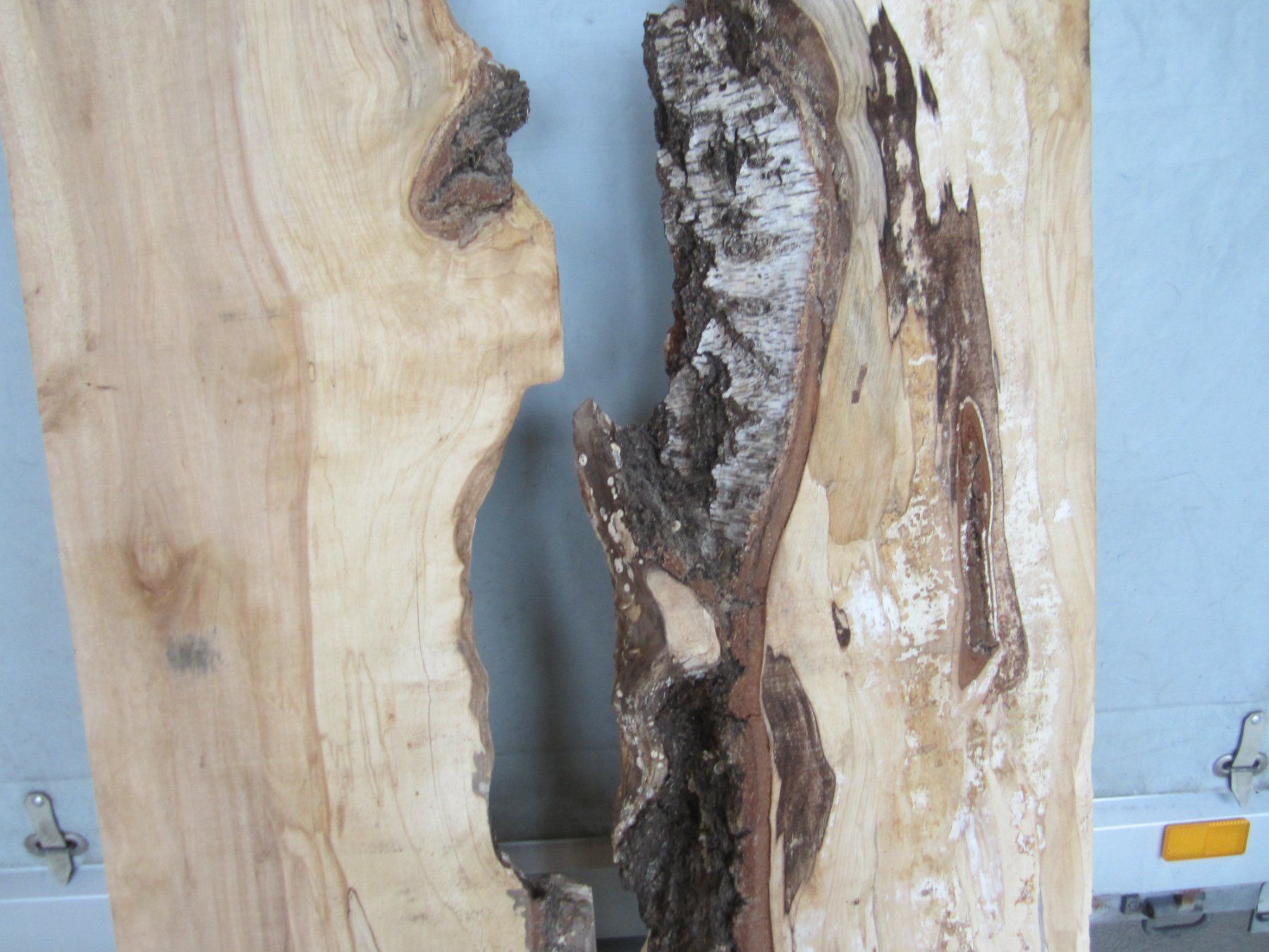 Articoli in legno: Holz für Epoxy Tischplatte – Nuovo (secondo la descrizione) da Nesslau venduto da Jakobi01 5