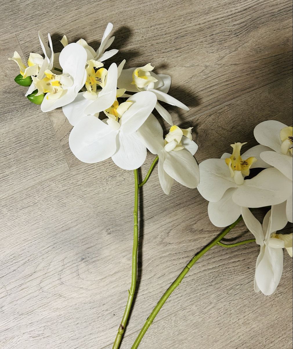 Alle Dekorationen: 2 Kunst Orchideen weiss, inkl. Vase – Gebraucht aus Gunten von starfish3 5