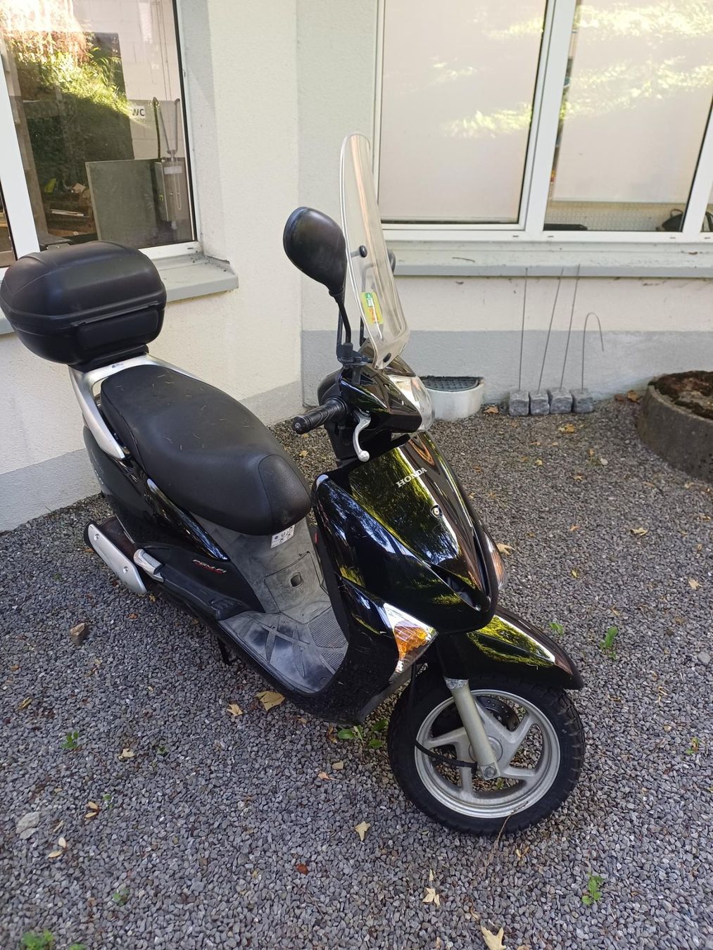 Honda Scooters: Roller Honda NHX110 Ab Platz! – Défectueux à Appenzell par hgmotos 4