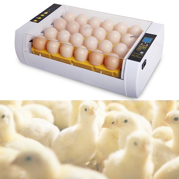 Altro in Accessori per animali: +24 Eier Brutmaschine Brutapparat – Nuovo (secondo la descrizione) da Thun venduto da Laoye 6