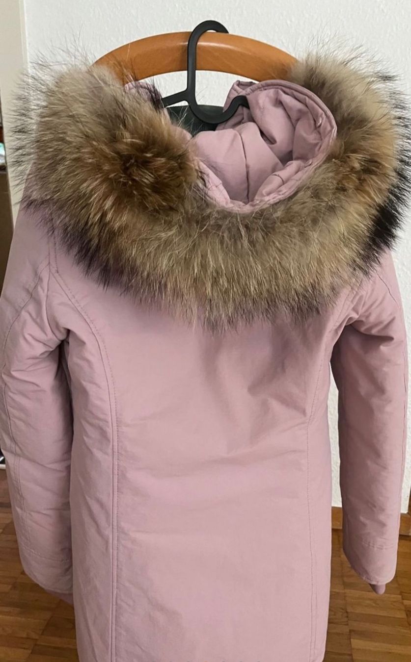 Vestes: Winterjacke – Neuf (Voir description) à Uznach par le-ma-di-