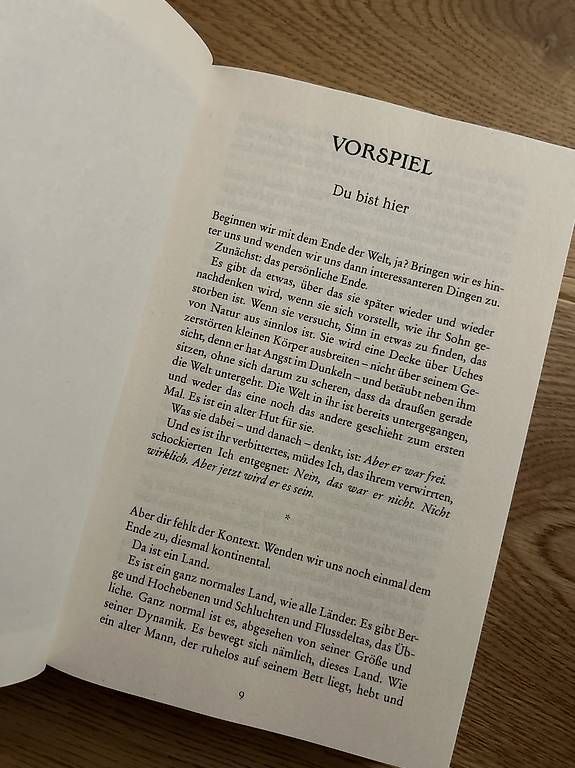 Libri: Zerrissene Erde - N. K. Jemisin (Fantasy) – Nuovo (secondo la descrizione) da Altstätten SG venduto da tab_77z2 1