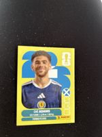 Panini SCO 19