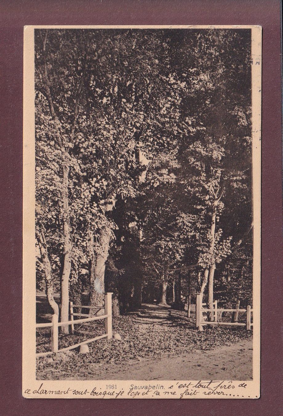 Ansichtskarten: LAUSANNE - Sauvabelin - 1913 – Gebraucht aus Pully von nicecards