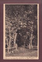LAUSANNE - Sauvabelin - 1913