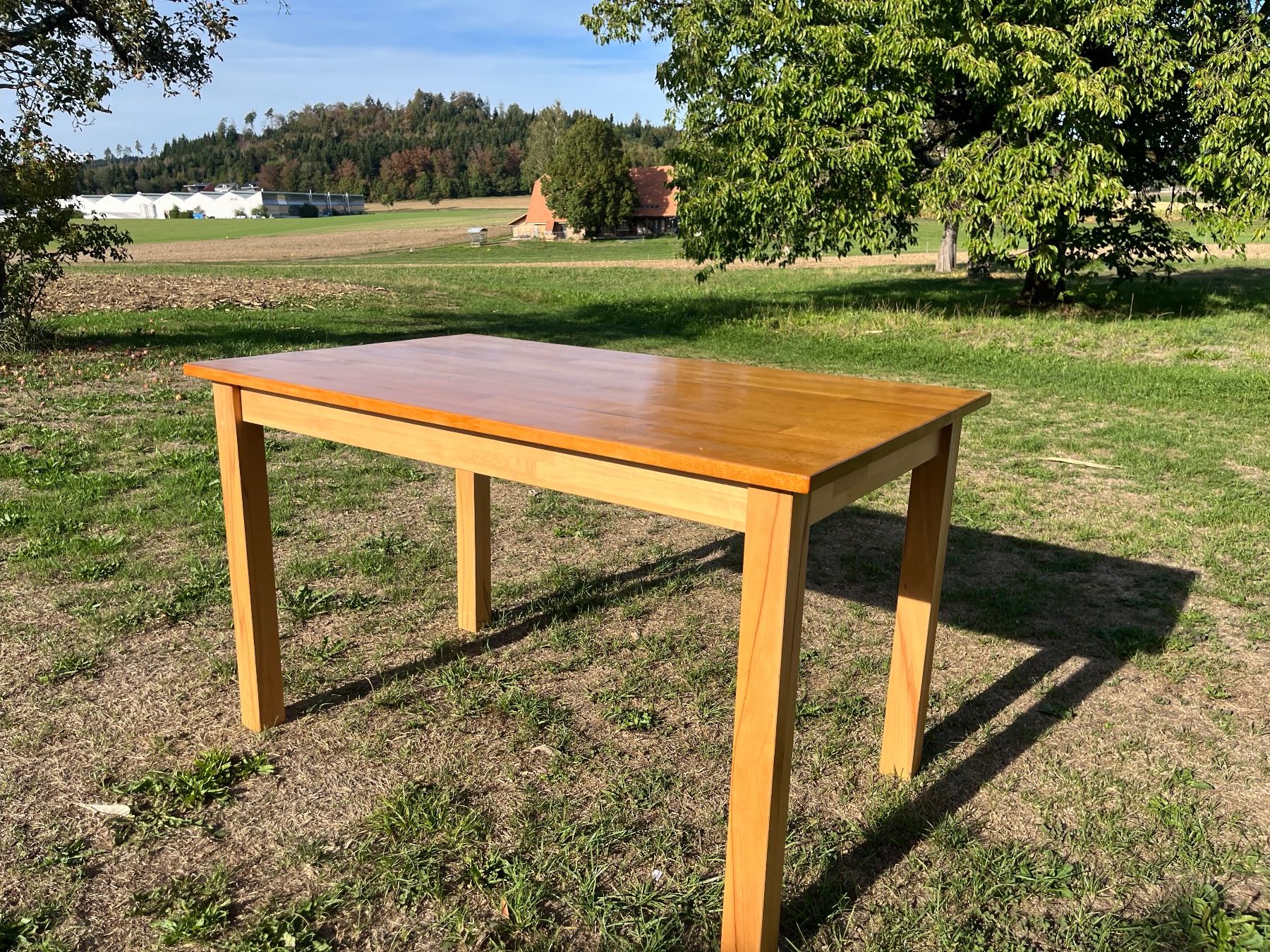 Tische: Tisch Massiv Hartholz – Gebraucht aus Allmendingen b. BE von juair 5
