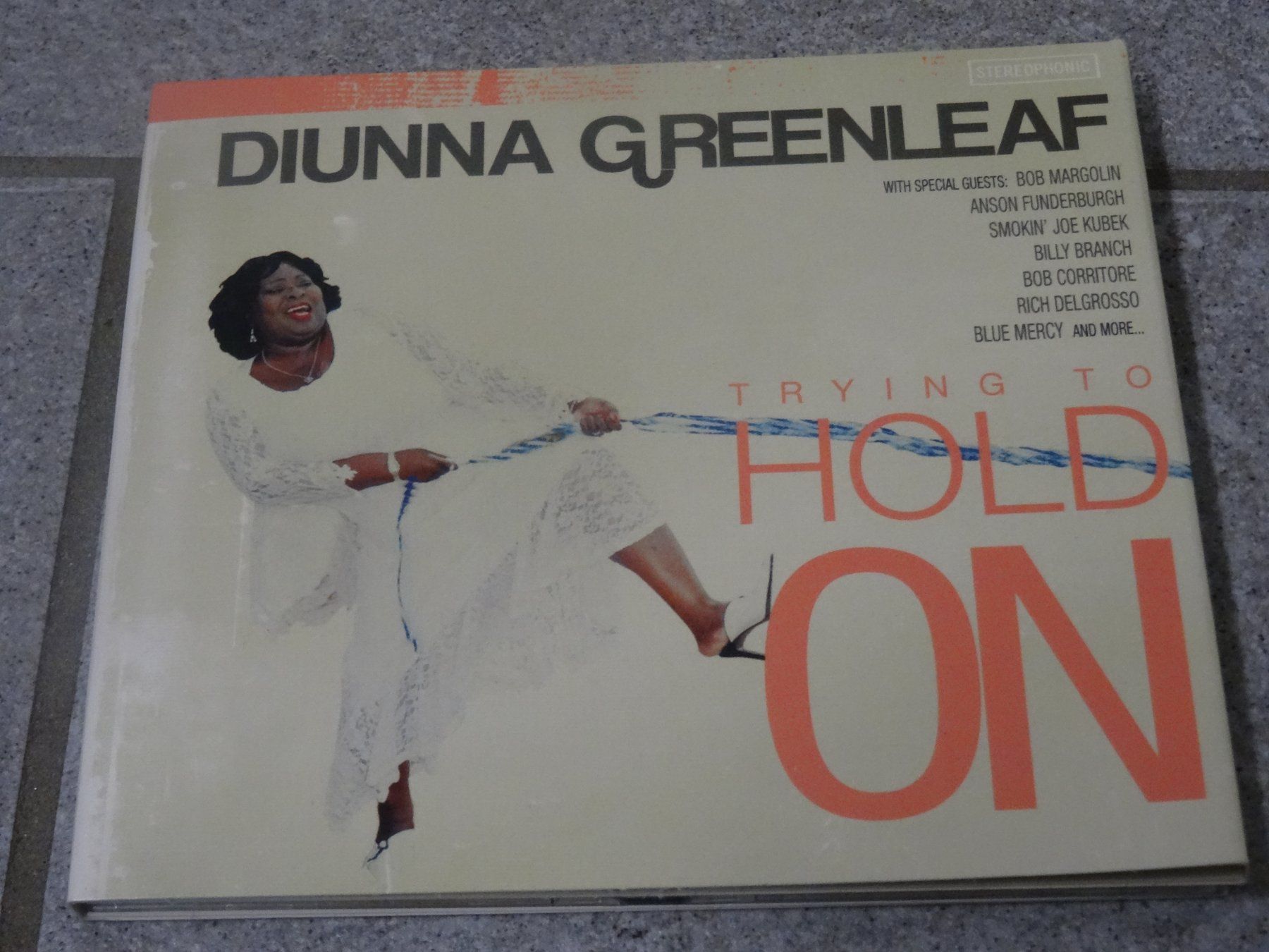 CD: Diunna Greenleaf - Trying to Hold On CD – Usato da Olten venduto da Disc-Ausverkauf