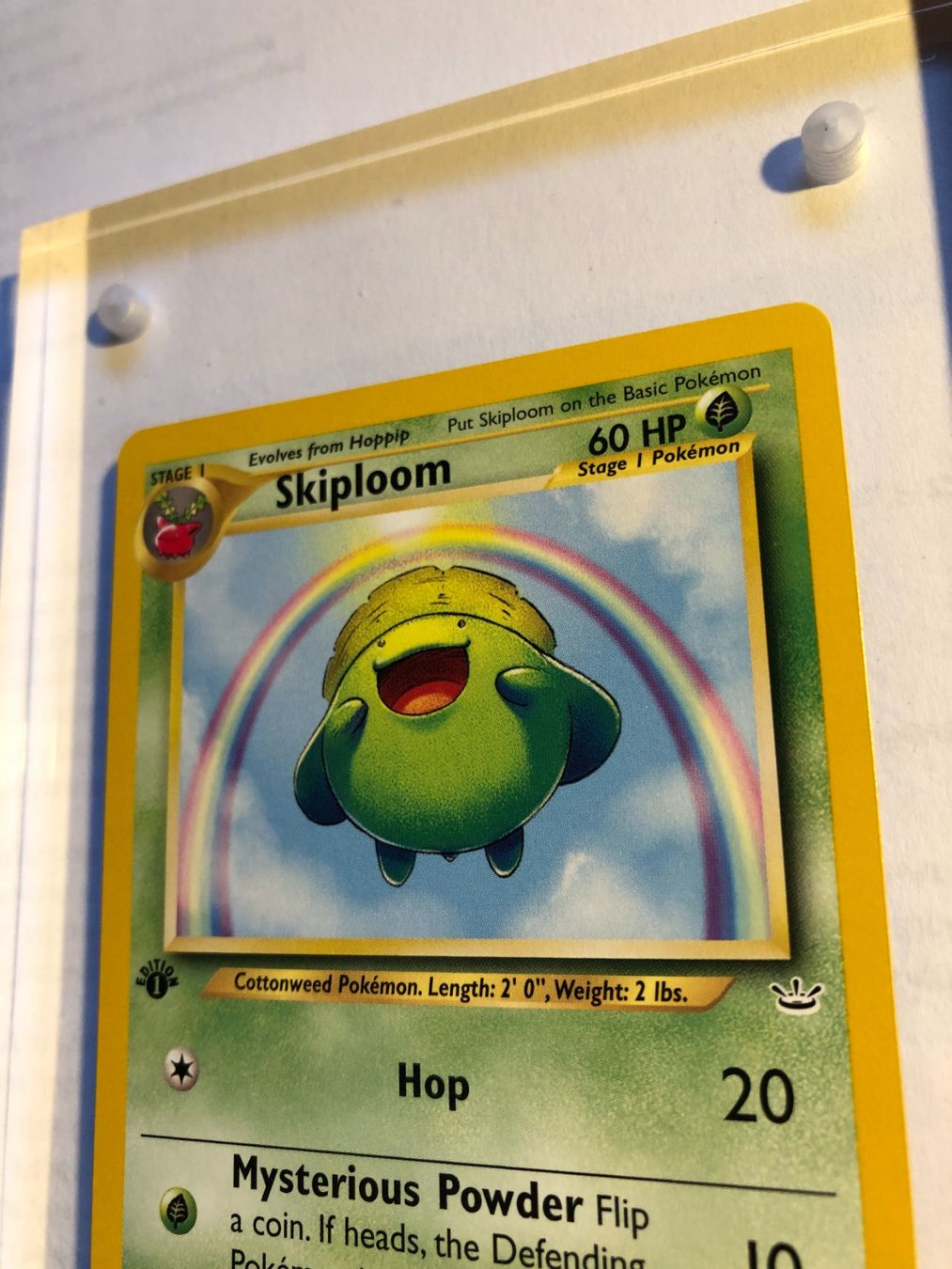 Cartes à collectionner: Skiploom 1st Neo Revelation - MINT - ab 1.- – D'occasion à Giubiasco par dan_pr8b 3