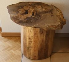 Versteinerte Tischplatte mit Holzsockel