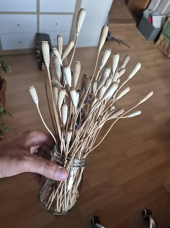 Tutte le decorazioni: Trockenblumen  – Usato da Illnau venduto da Meteno1990 1