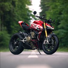 Profile image of crdn_v4s