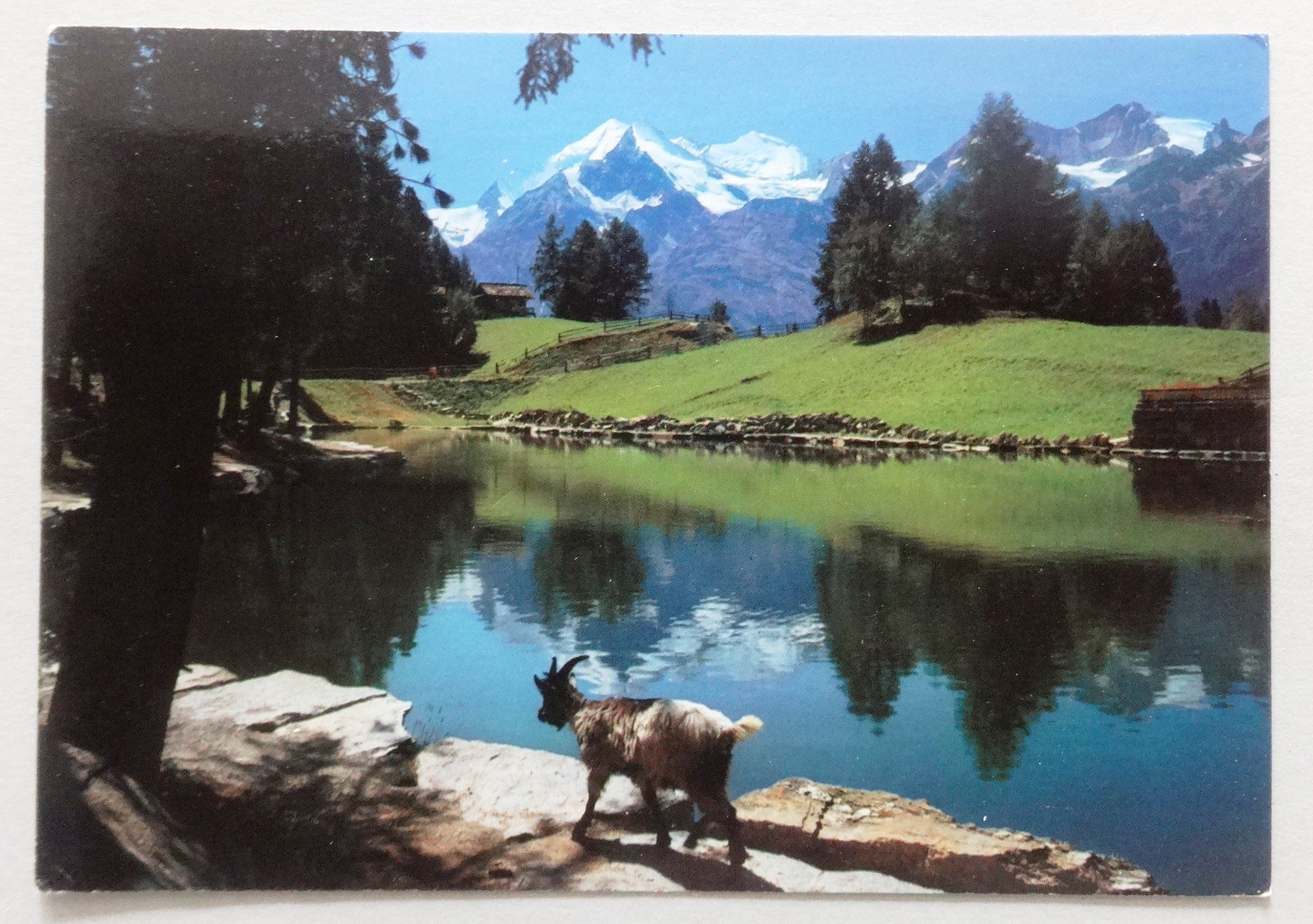 Ansichtskarten: Grächensee ob Grächen – Gebraucht aus Fétigny von Billy2miny