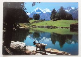Grächensee ob Grächen
