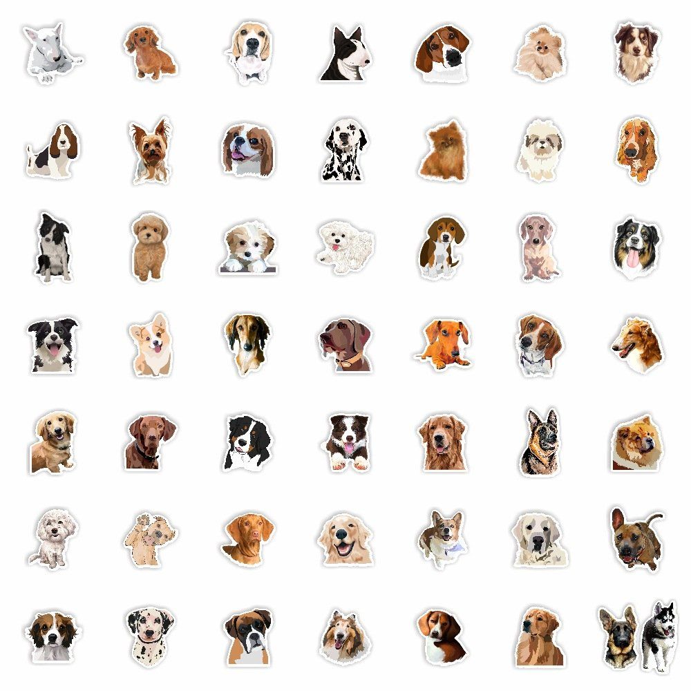 Sticker: autocollant Aufkleber – Nuovo e nell'imballaggio originale da Delémont venduto da abonprix