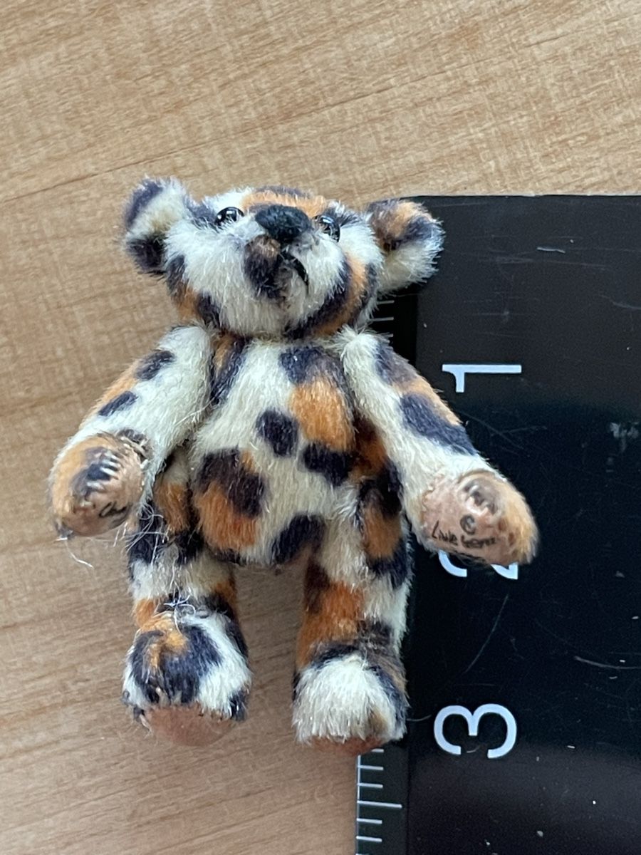 Tutte le decorazioni: Miniatür Teddy Bär – Nuovo (secondo la descrizione) da Rümlang venduto da euqinom16