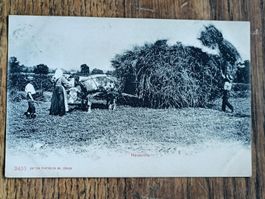 Alte PK / Heuernte - Gelaufen 1912