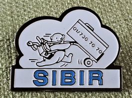 E547 - Pin SIBIR Kühlschrank Service