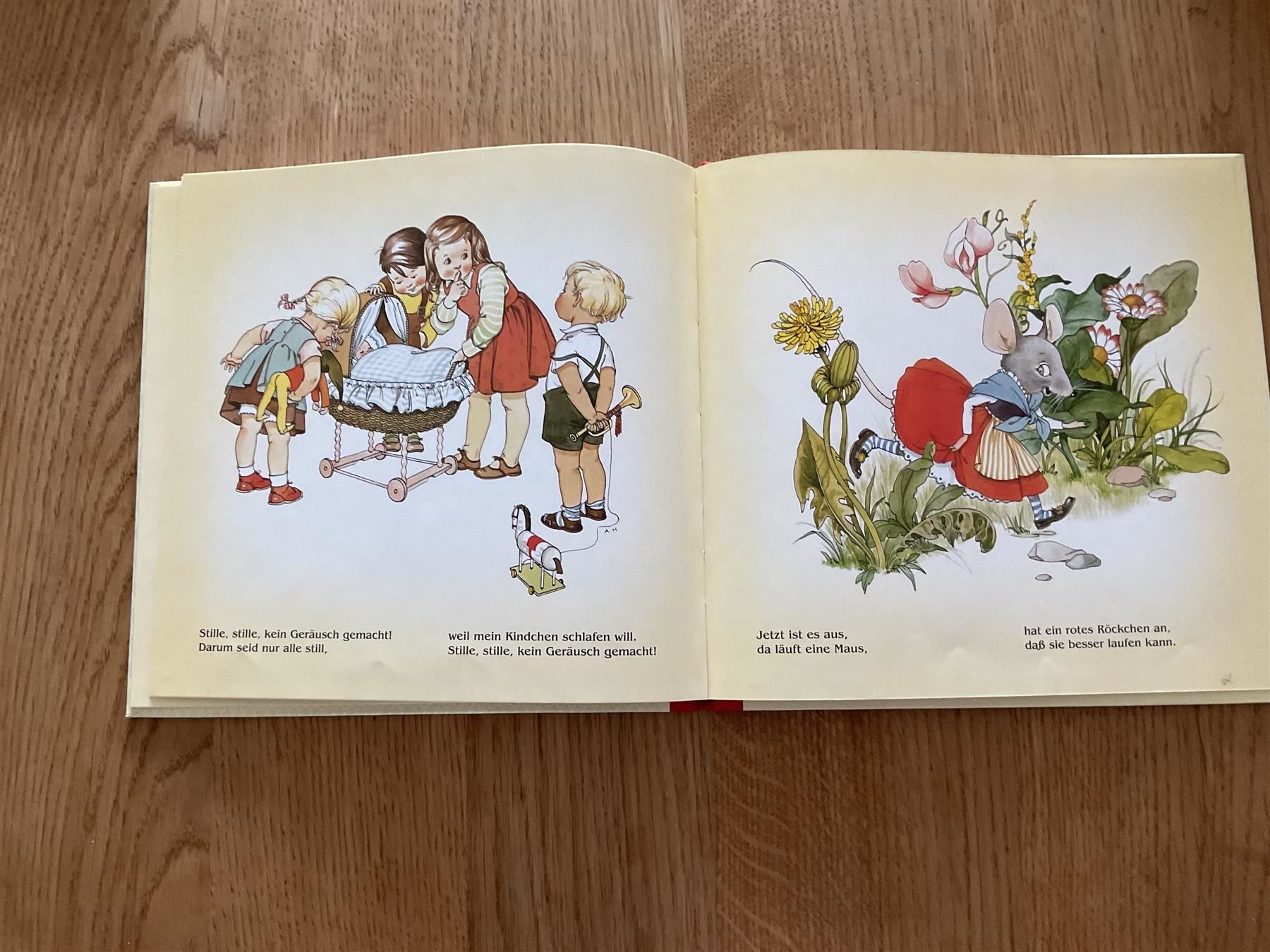 Libri: Ri Ra Rutsch Julius Breitschopf – Nuovo (secondo la descrizione) da Wetzikon ZH venduto da Libelle01 3