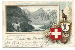Seealpsee (AI) Alpstein Altmann  Rossmad - Präge-Litho 1901