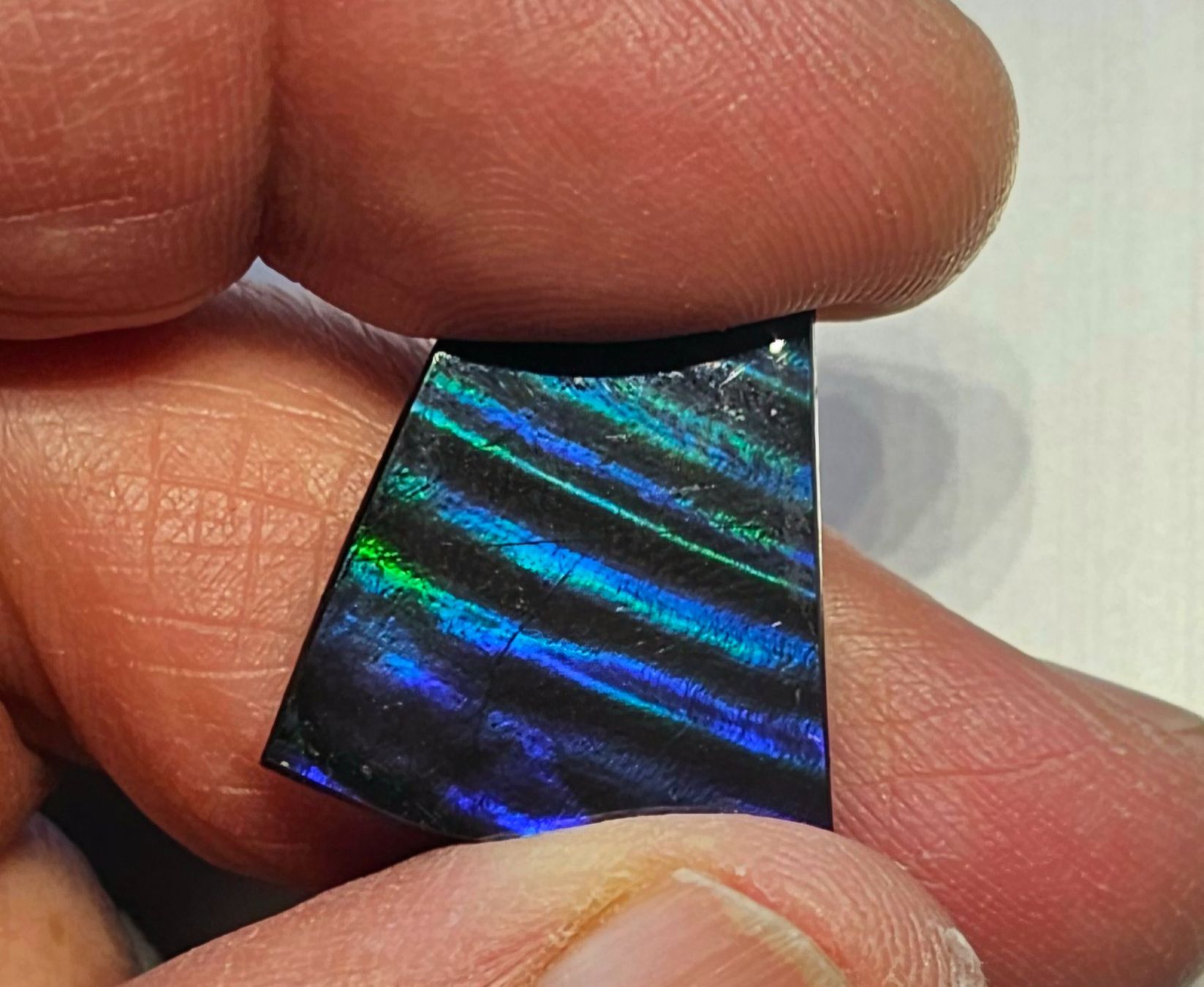 Minerali & Pietre curative: Wunderschöner Ammolit; 12.9 ct. – Nuovo (secondo la descrizione) da Horgen venduto da Agopton