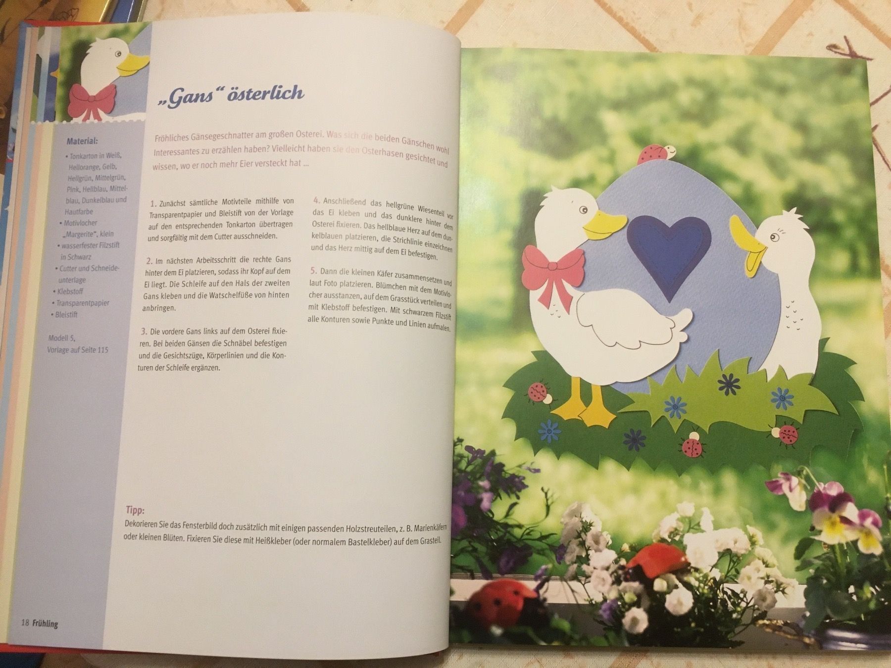 Libri: Buch Fensterbilder – Nuovo (secondo la descrizione) da Schaffhausen venduto da ann_g6tx 2