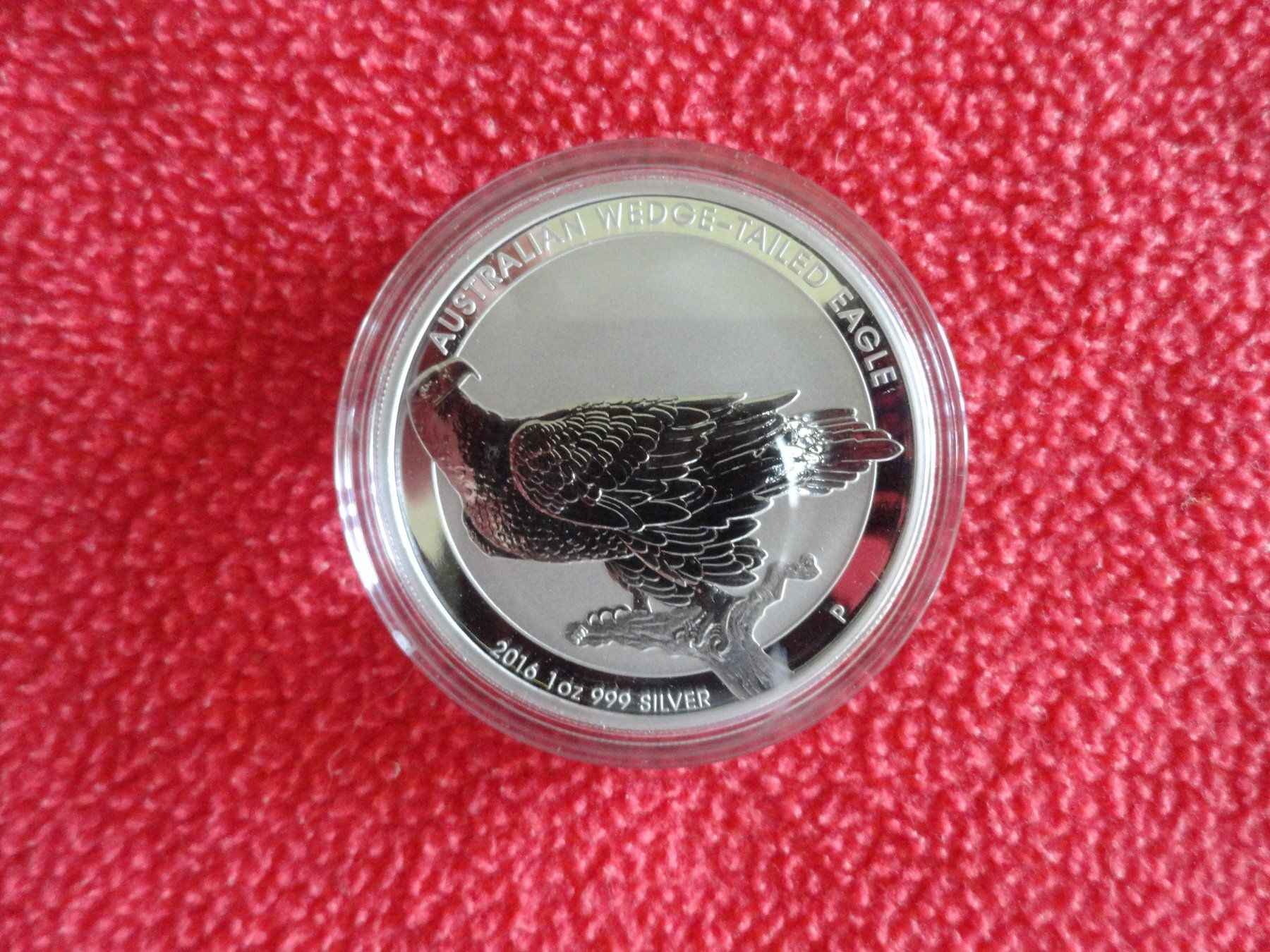 Tutti le monete: Silbermünze Wedge-Tailed Eagle 2016 - 1 Unze – Nuovo (secondo la descrizione) da Gerlafingen venduto da Shiva_74 1