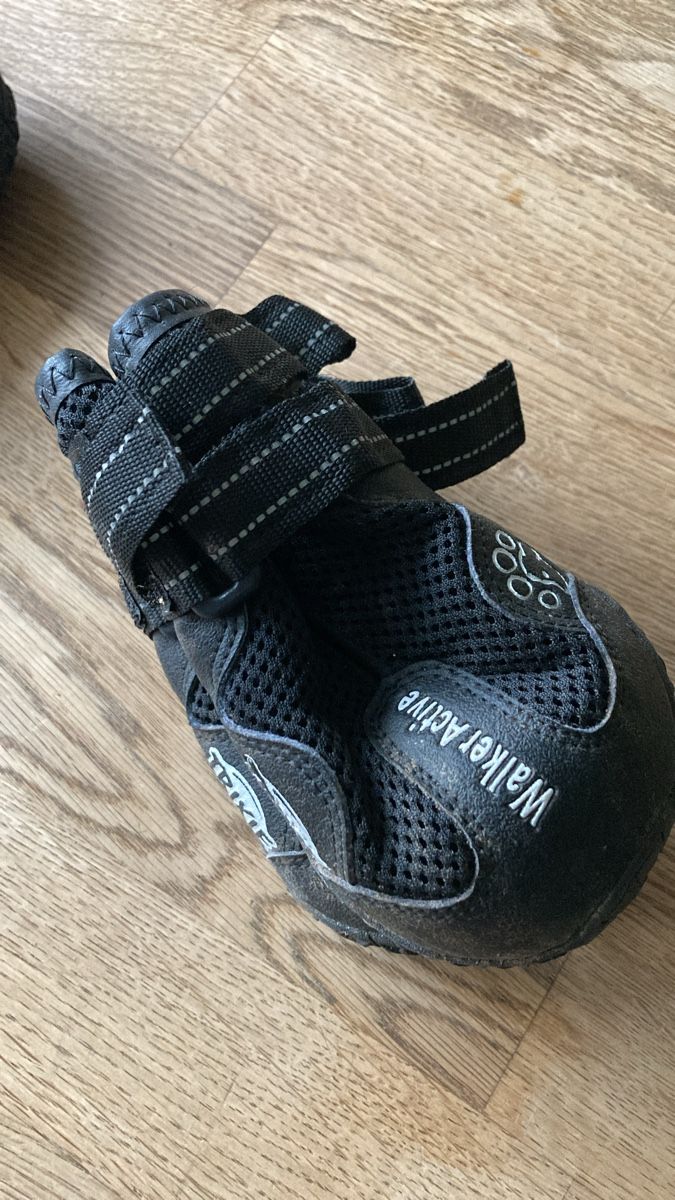 Bekleidung: Hunde Schuhe Gr 7 – Gebraucht aus Steffisburg von bergfraueli7