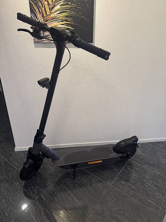 Scooters: E Trotti / E Roller 500 W PF-2 CITY 835 – Gebraucht aus Wald ZH von Largo03