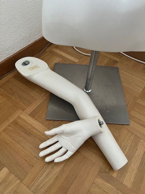 Sculture & Statue: Büste auf Ständer – Nuovo (secondo la descrizione) da Walenstadt venduto da ricamul 4