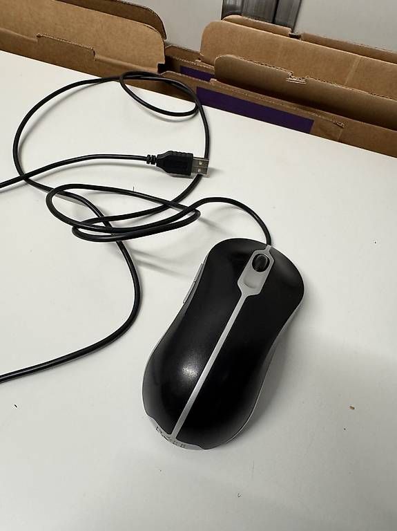 Dell Mouse: Dell Professional Business USB Maus – Usato da Schübelbach venduto da Rahnmont