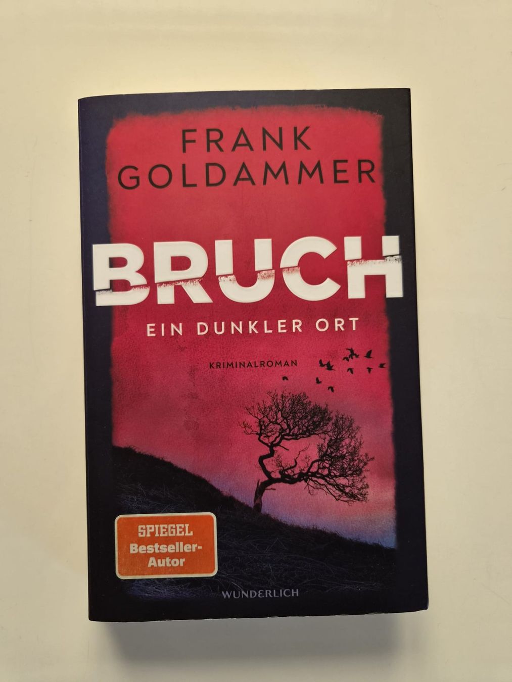 Libri: Bruch - Ein dunkler Ort von Frank Goldammer – Usato da Amriswil venduto da Alfaromeo007
