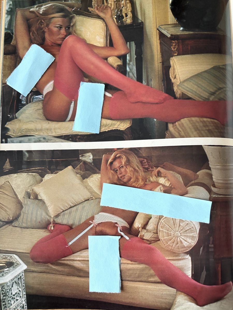 Riviste & Magazine: Penthouse Juni 1976   – Usato da Lengnau BE venduto da tho_8v9x 5