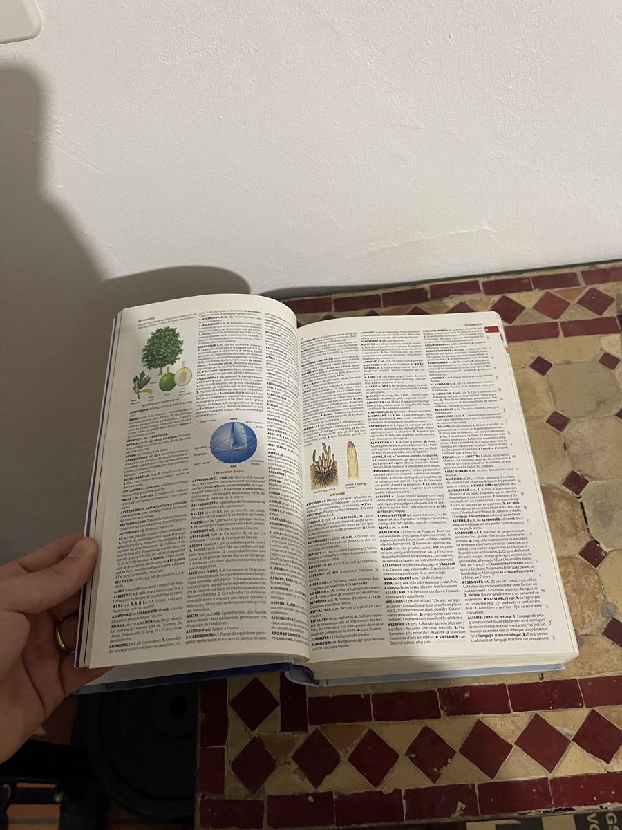Libri: Dictionnaire Larousse illustré – Usato da Fribourg venduto da Barlocher 4