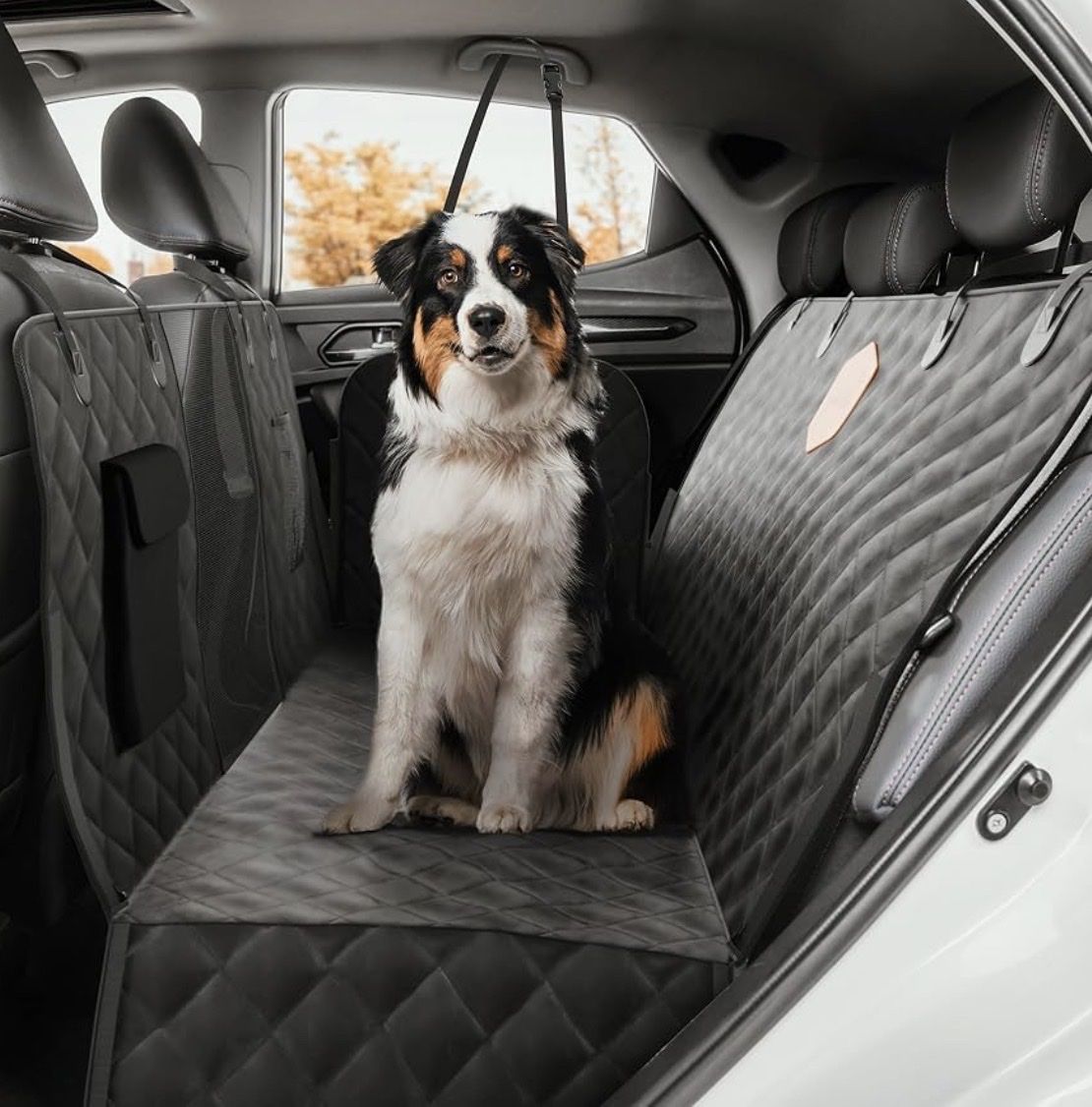 Coperte & Accessori: Doggy car blanket – Usato da Zürich venduto da mxcs