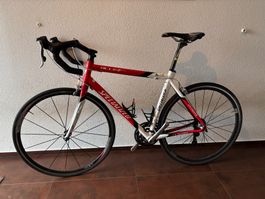 🔥Rennrad Specialized 56 L Allez Elite E5