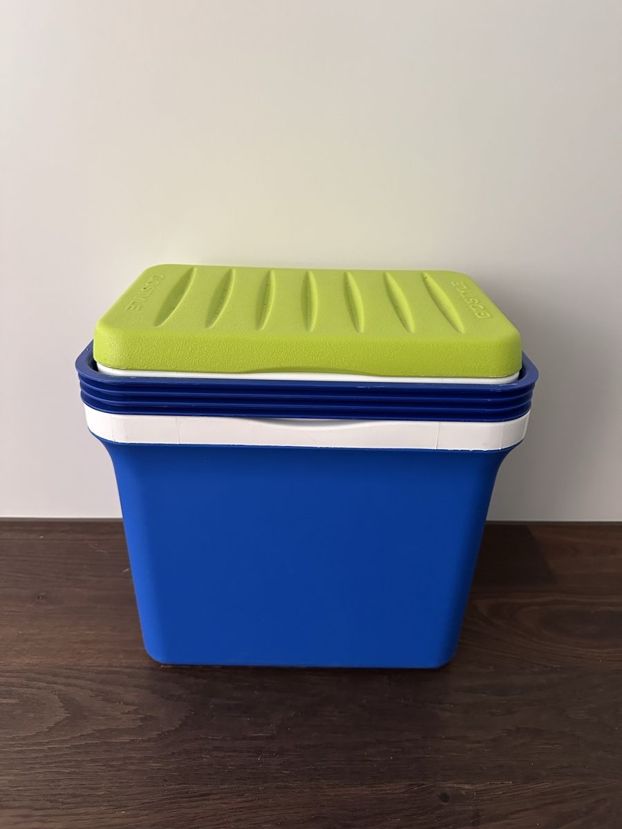 Frigoriferi & Refrigeratori: Kühlbox – Usato da Wangen b. Olten venduto da kellybundy31