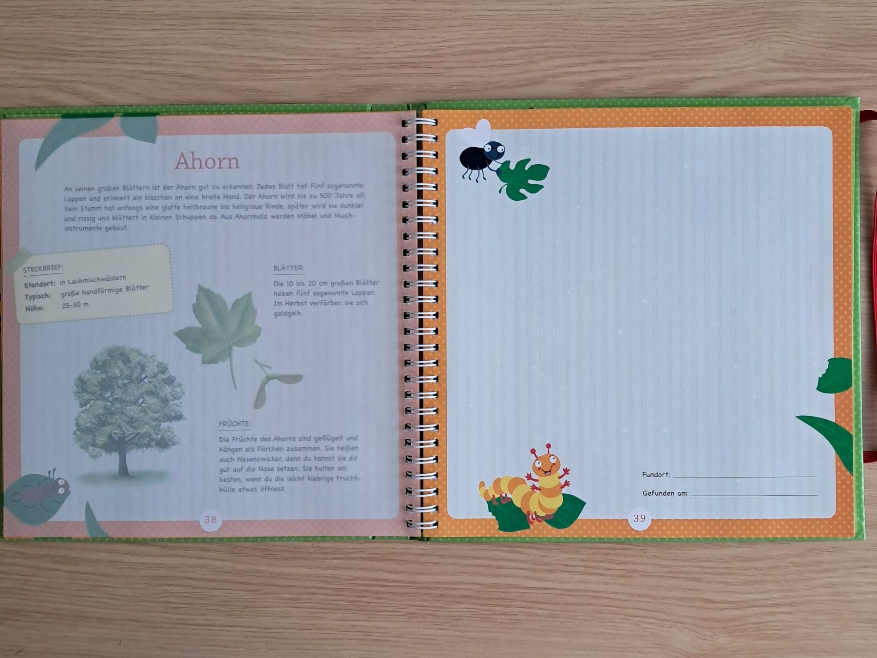 Bücher: Sammelbuch Kinder "Blüten & Blätter sammeln" – Gebraucht aus Meilen von Vaurien15 5
