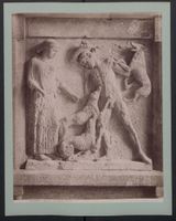 Fotografie Palermo, Museo Diana e Atteon