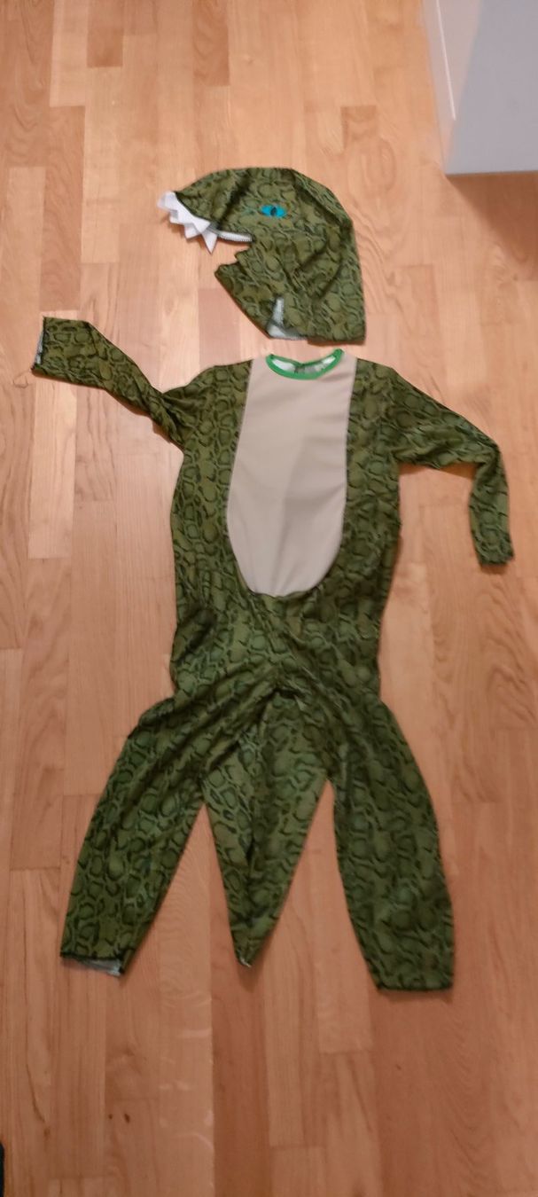 Costumi: Kinder Fasnacht Kostüm Reptil oder Dinosaurier – Usato da Muri AG venduto da Mupuputs