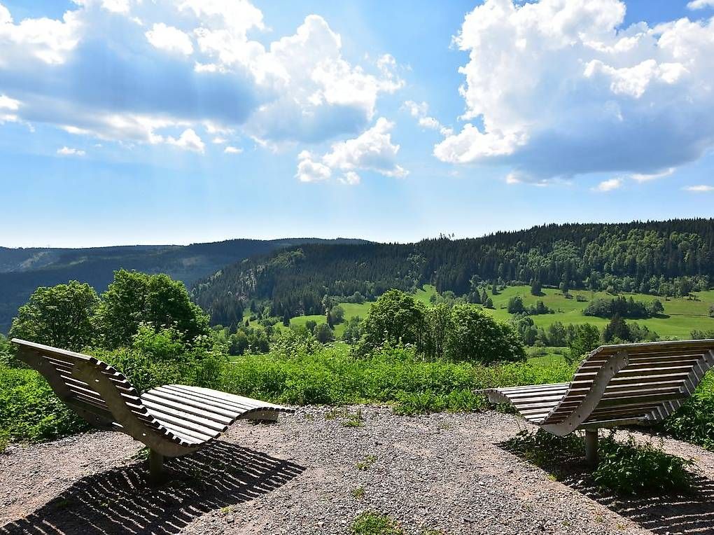 Cartoline postali: Ferien im Schwarzwald – Nuovo (secondo la descrizione) da Wyssachen venduto da Auto0815 1