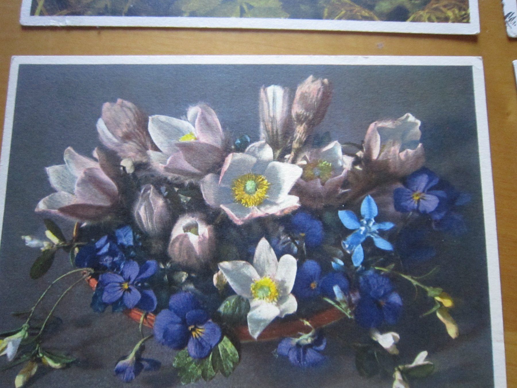Ansichtskarten: No2 Postkarten Anemonen ab 1934 – Gebraucht aus Gordola von Polentaefung 4