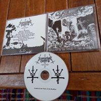 iconoclast Contra- combat...