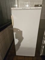 AEG Öko-Arctis Tiefkühlschrank, Top Zustand, Sofort!