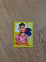 Panini Bild KOR 15
