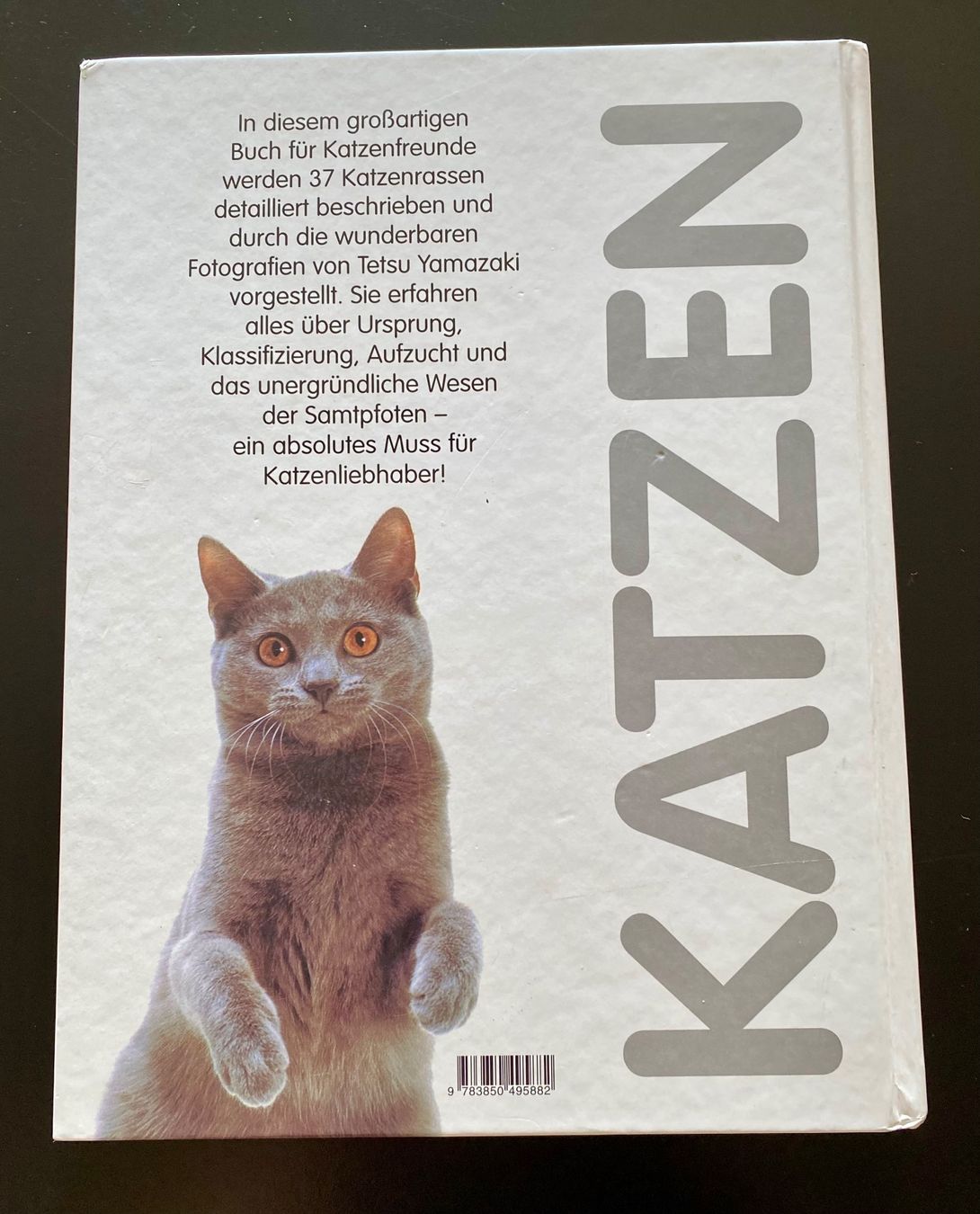 Livres: KATZEN – D'occasion à Nussbaumen AG par schuba2000 1